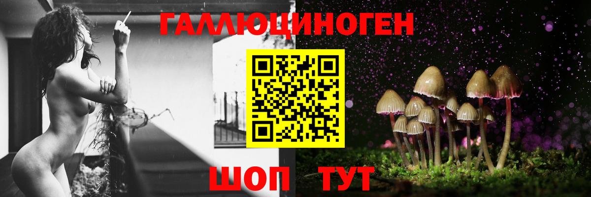 Соль-Илецк  Псилоцибиновые грибы Magic Shrooms  Вход с VPN 